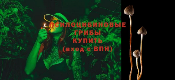 не бодяженный Сатка