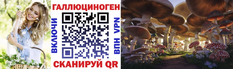 Галлюциногенные грибы Psilocybe  Еманжелинск 